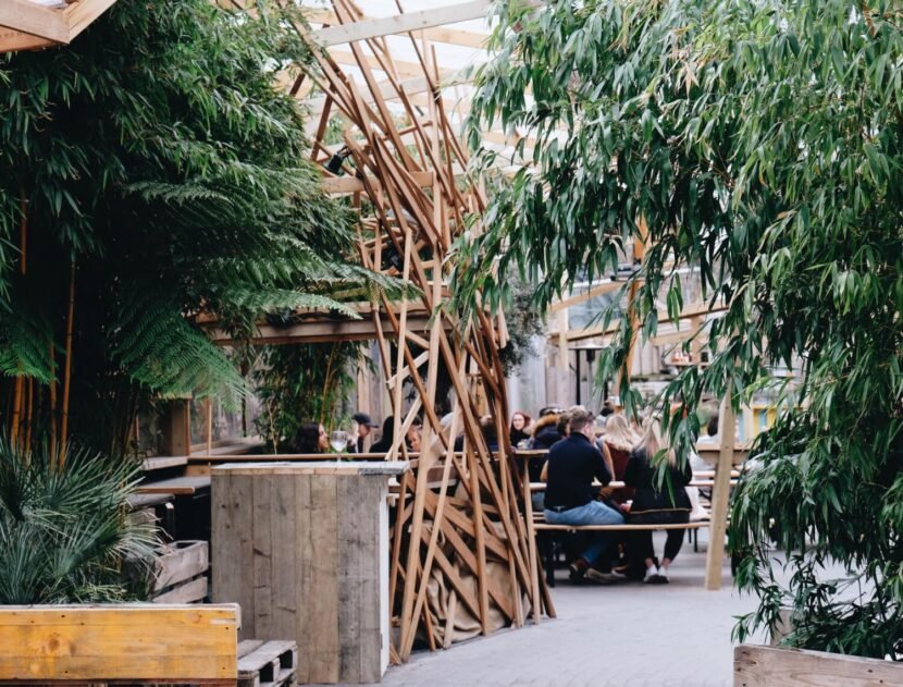 Best Low-Impact Exercises for Beginners with Joint Pain image-09