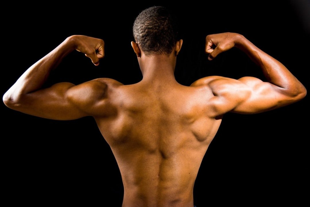 Triceps Muscle Exercise: 8 Best Moves for Size and Definition