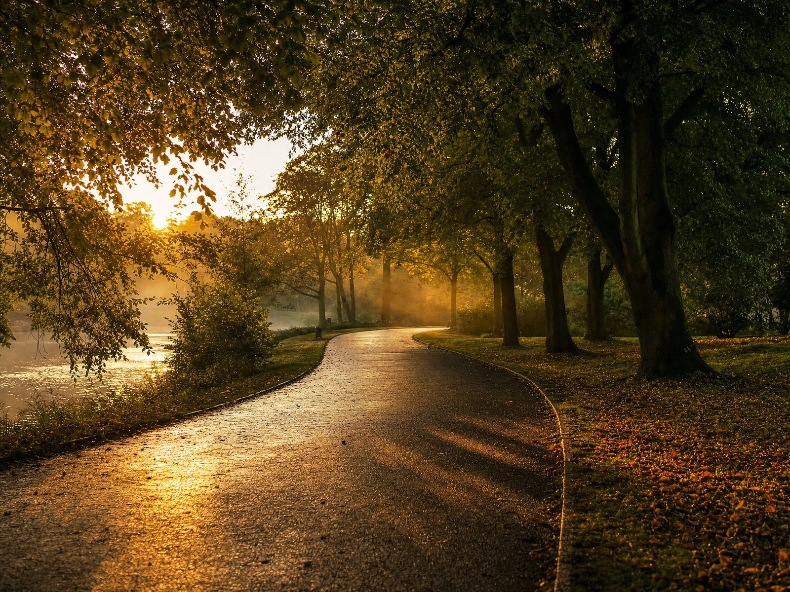 Empty tree lined park path at golden hour, ideal for a daily walk or easy run